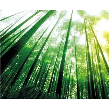 2018中國木樓梯、木地板博覽會