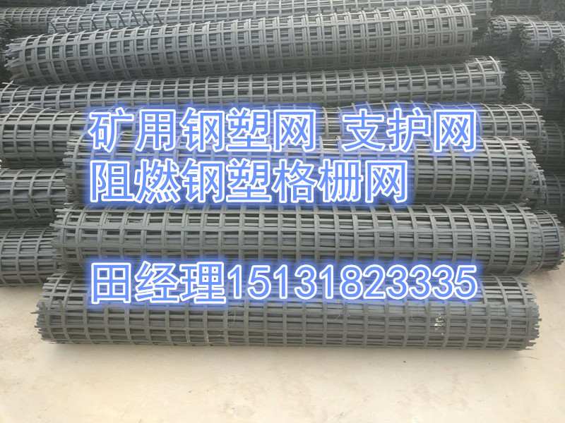 供應森旺5.55.5cm礦用鋼塑復合網(wǎng)